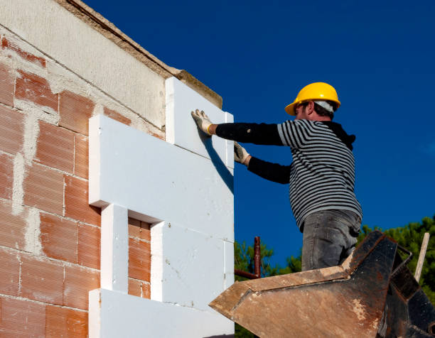 Best Spray Foam Insulation  in Welch, WV