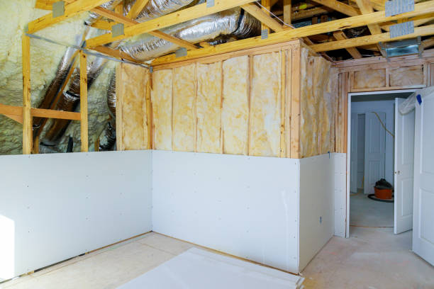 Best Insulation Removal Services  in Welch, WV
