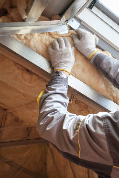 Best Residential Insulation Services  in Welch, WV