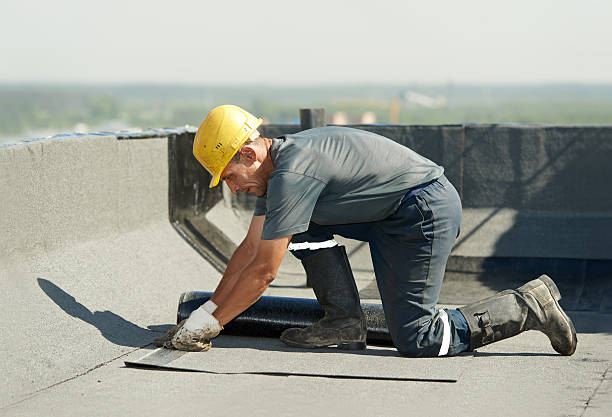 Best Professional Insulation Contractor  in Welch, WV