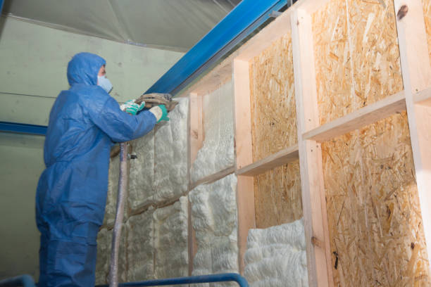 Best Insulation Inspection Services  in Welch, WV